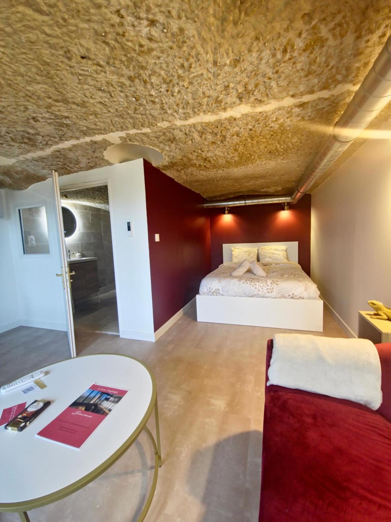 Le Cocon Troglodyte Appartement Saint-Étienne-de-Chigny Buitenkant foto